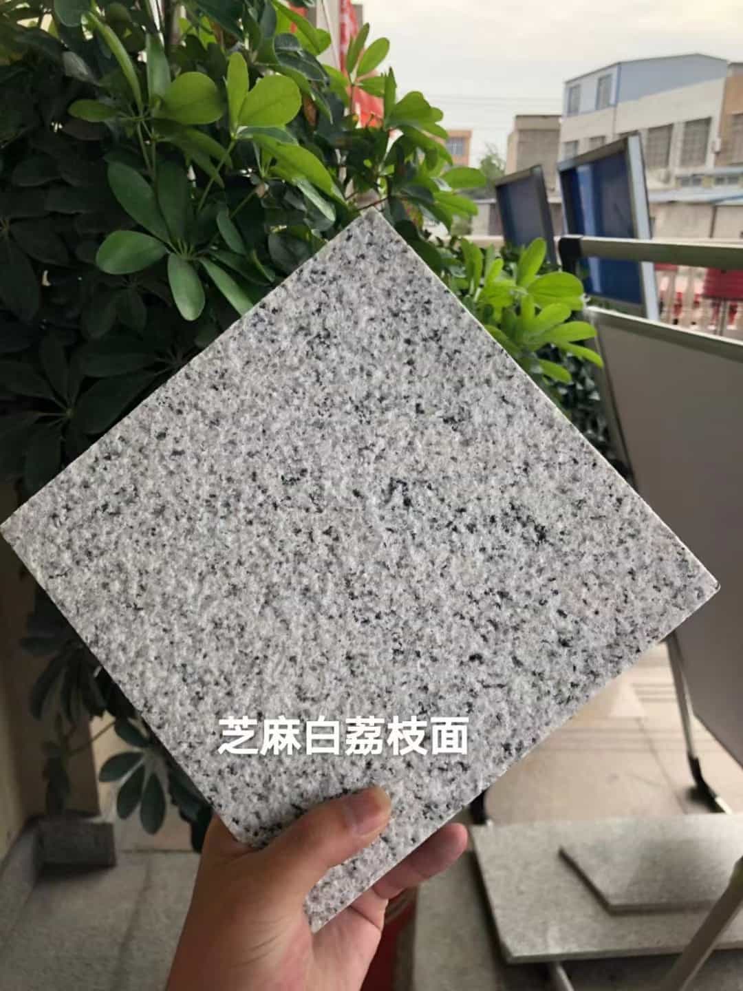 齐齐哈尔 芝麻白荔枝面干挂
