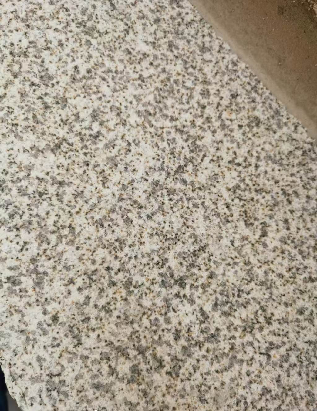 齐齐哈尔 黄金麻中黄光面
